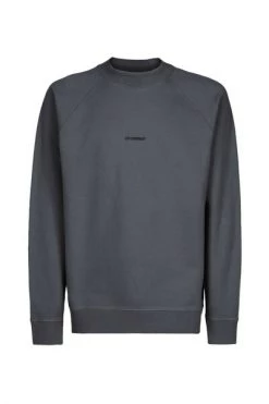 C.P. Company Hoodies & Sweatvesten Hoodies Gray