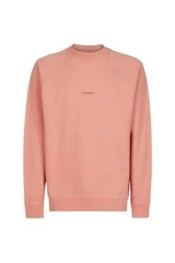 C.P. Company Hoodies & Sweatvesten Sweatshirts ; Hoodies Pink 5 C.P. Company Hoodies & Sweatvesten Sweatshirts ; Hoodies Pink -C.P. Company Winkel 99e90cbbfbdf8d774a43ae68b9ef1d75