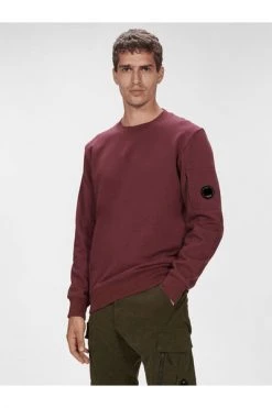 C.P. Company Hoodies & Sweatvesten Logo Sweatshirt Purple -C.P. Company Winkel 9d12413013bead1da67ac3e9ab4fa97c