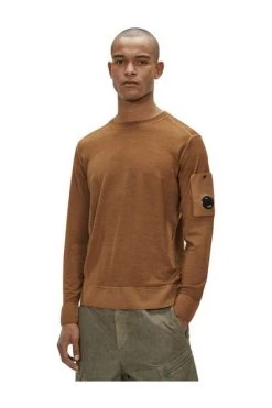 C.P. Company Hoodies & Sweatvesten Sweatshirts ; Hoodies Brown -C.P. Company Winkel e375e463a0b429fa655bcba50b0f4660